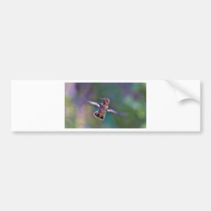 Adesivo Para Carro Hummingbird