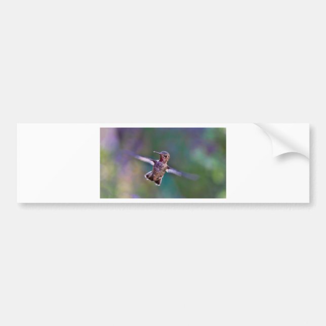 Adesivo Para Carro Hummingbird (Frente)