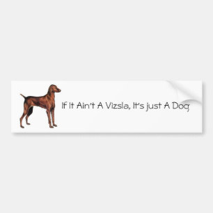 Adesivo Para Carro Hungarian_Vizsla, se não é um Vizsla, é ju…
