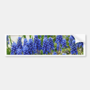 Adesivo Para Carro Hyacinth Grape