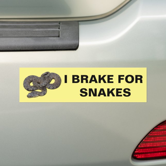 Adesivo Para Carro I Braço Para Cobra Bumper Sticker (No carro)