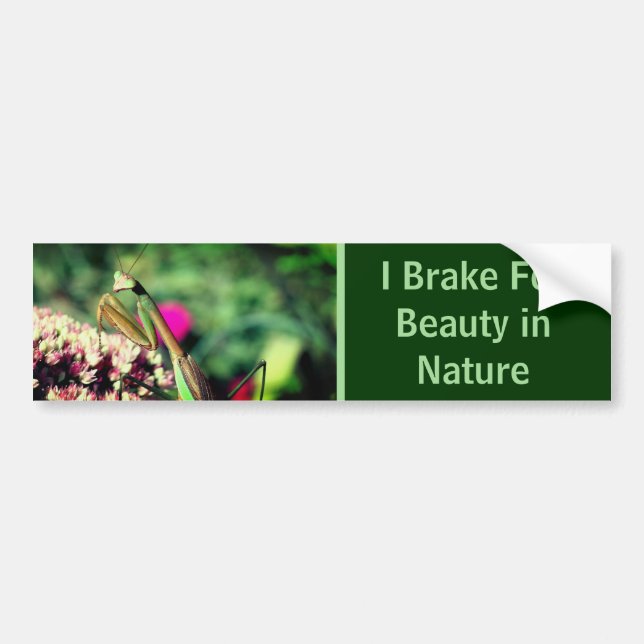 Adesivo Para Carro I Brake For Beauty Praying Mantis Nature  (Frente)