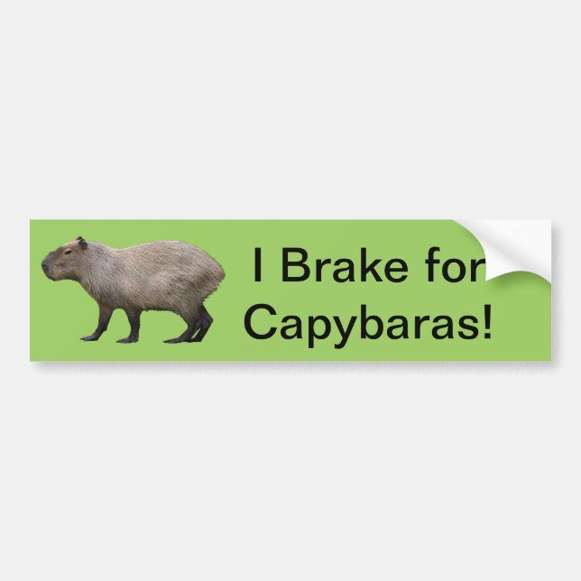 Adesivo Para Carro I Brake For Capybara (Frente)
