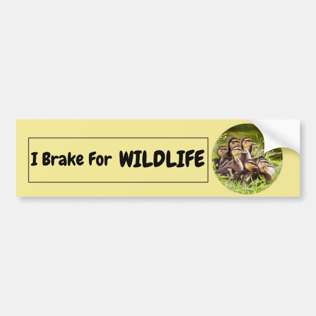 Adesivo Para Carro I Brake for Wildlife (Frente)
