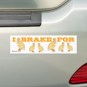 Adesivo Para Carro I BRAKE FOR Yellow Duckets Photo Personalized (Eu 