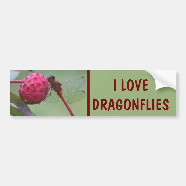 Adesivo Para Carro I Love Dragonflies Nature (Frente)