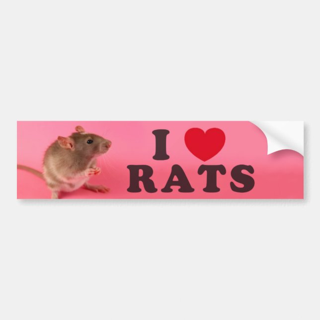 Adesivo Para Carro I love Rats (in pink) (Frente)