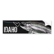 IDAHO STEELHEAD - AQUI PESCA PESCADA - IDAHO BRILH