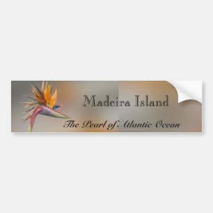 Adesivo Para Carro Ilha de Madeira