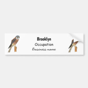 Adesivo Para Carro Ilustração de ave do Kestrel Americano 