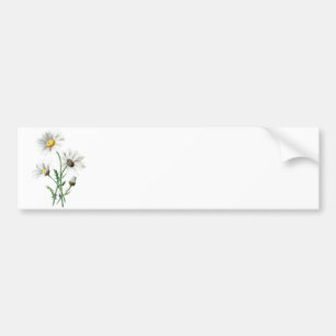 Adesivo Para Carro Ilustração velha da flor selvagem das margaridas