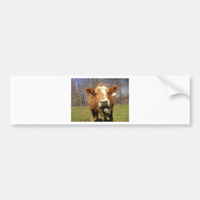 Adesivo Para Carro Imagem 001 (Frente)