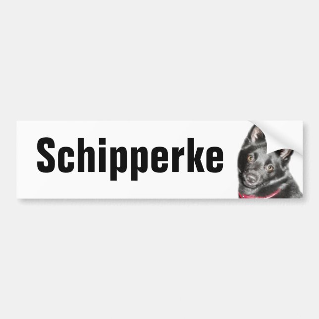 Adesivo Para Carro Imagem de Schipperke (Frente)