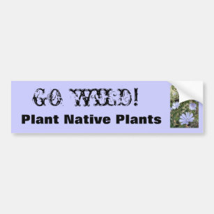 Adesivo Para Carro IMG_3801, VÃO SELVAGENS! , Plante plantas nativas