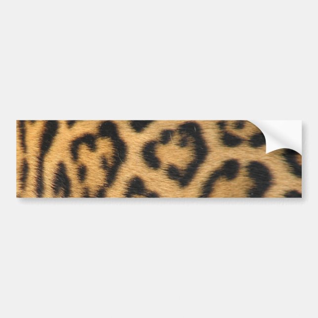 Adesivo Para Carro Impressão de Leopardo (Frente)