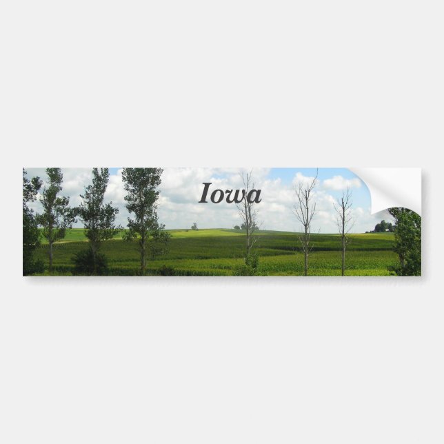 Adesivo Para Carro Iowa (Frente)