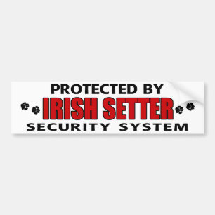 Adesivo Para Carro Irish Setter Security