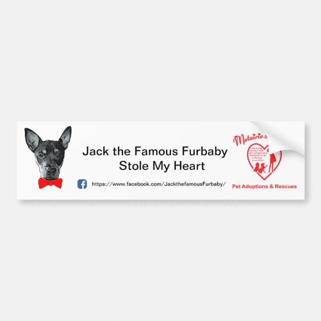 Adesivo Para Carro Jack o Furbaby famoso Bumpersticker (Frente)