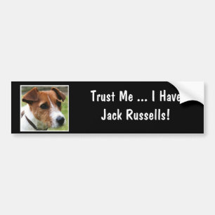 Adesivo Para Carro Jack Russell Terrier