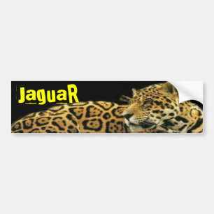 Adesivo Para Carro Jaguar