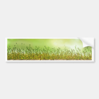 Adesivo Para Carro Jardim Primavera de Grass Verde