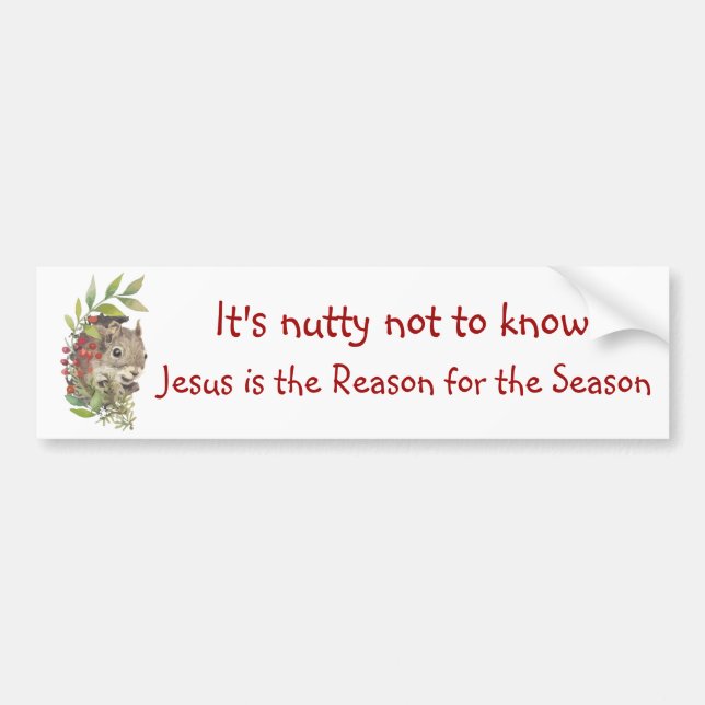 Adesivo Para Carro "Jesus is the reason for the season" Fun Squirrel  (Frente)