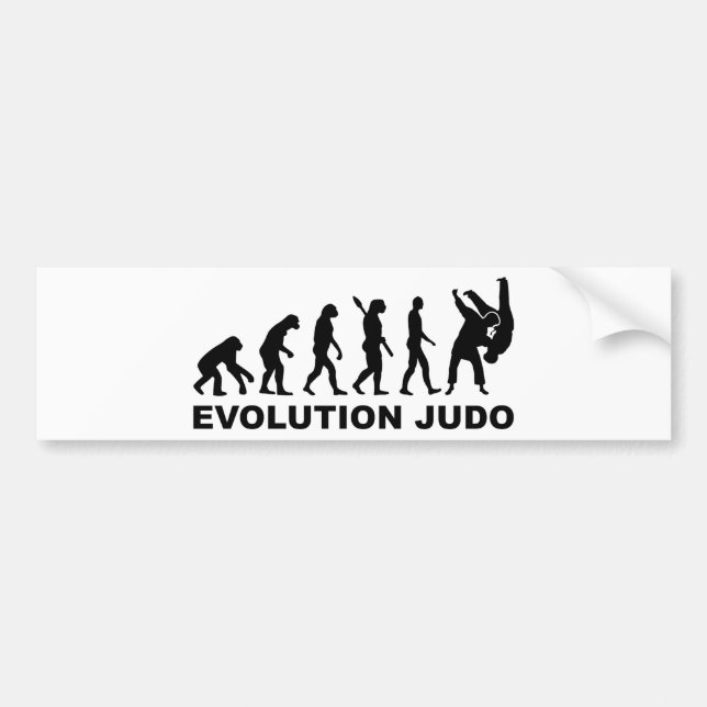 Adesivo Para Carro Judo da evolução (Frente)