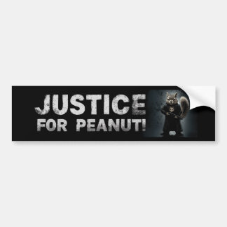 Adesivo Para Carro Justiça para amendoim, o esquilo BUMPER STICKER
