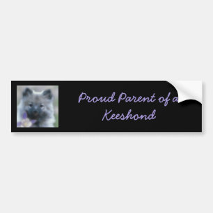 Adesivo Para Carro Keeshond e Columbine - Fotografia de Cães