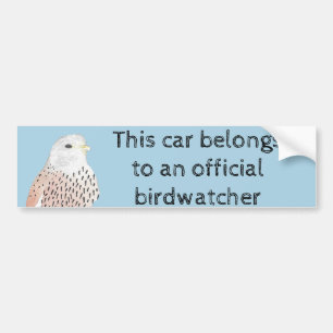 Adesivo Para Carro Kestrel americano Birdwatcher