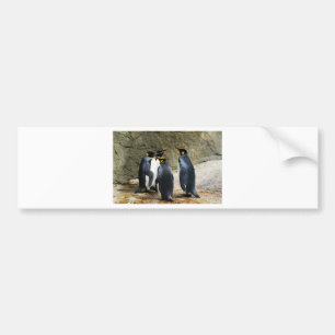 Adesivo Para Carro King Penguin
