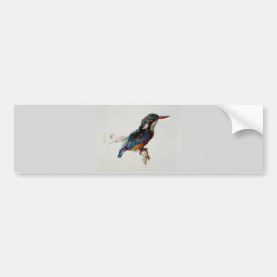 Adesivo Para Carro Kingfisher (por John Ruskin)