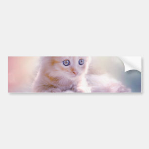 Adesivo Para Carro Kitten Natal