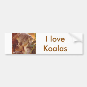 Adesivo Para Carro Koala Bear Love