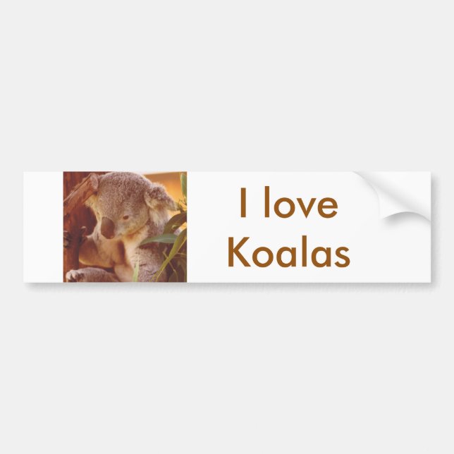 Adesivo Para Carro Koala Bear Love (Frente)