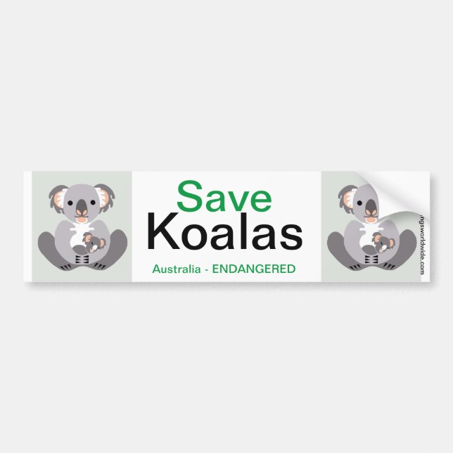 Adesivo Para Carro Koala- Bumper Sticker (Frente)