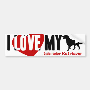 Adesivo Para Carro Labrador retriever