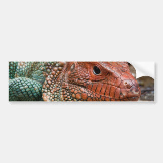 Adesivo Para Carro Lagarto
