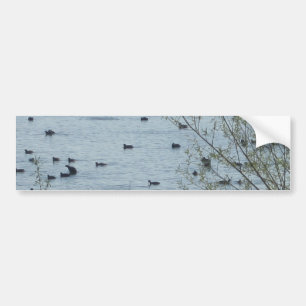 Adesivo Para Carro Lago Birds Bumper Sticker