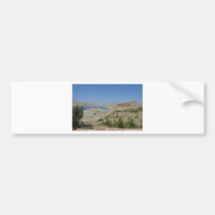 Adesivo Para Carro Lago Ducan3
