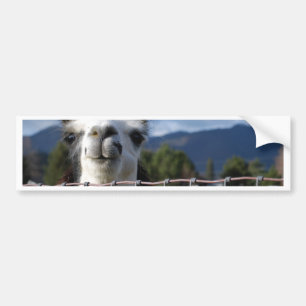 Adesivo Para Carro Lama de sorriso engraçado em Oregon do sul