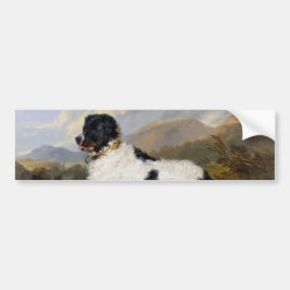 Adesivo Para Carro Landseer Newfoundland Dog (Black and White Animal)