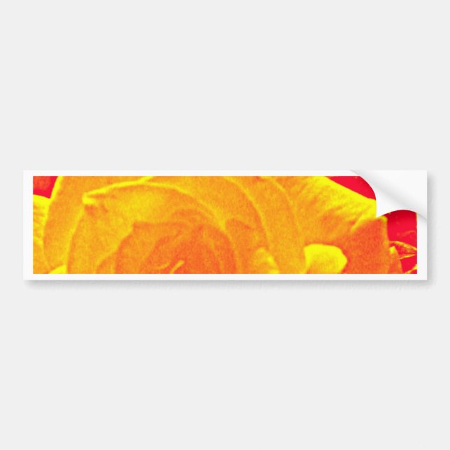 Adesivo Para Carro laranja rosa fluorescente (Frente)