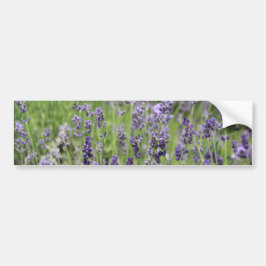 Adesivo Para Carro Lavanda
