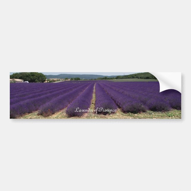 Adesivo Para Carro Lavanda de Provence (Frente)