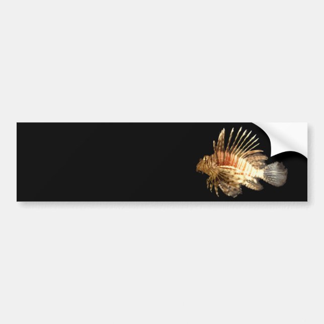 Adesivo Para Carro Lionfish (Frente)
