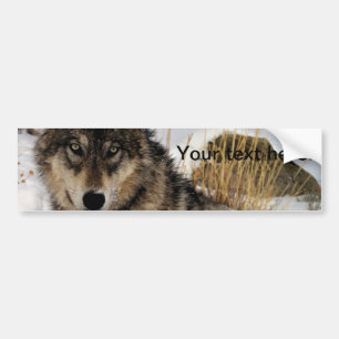 Adesivo Para Carro Lobo cinzento ou lobo de madeira que coloca na