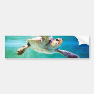 Adesivo Para Carro Loggerhead #3 Bumper Sticker
