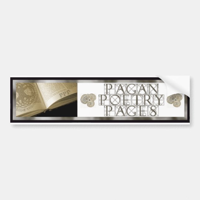 Adesivo Para Carro logotipo (Frente)