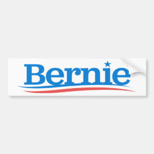 Adesivo Para Carro Logotipo Bernie